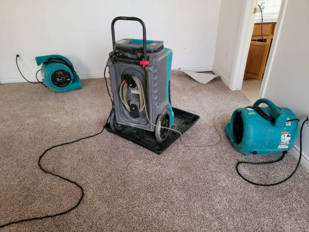 Best Water damage restoration near me  in Gap, PA