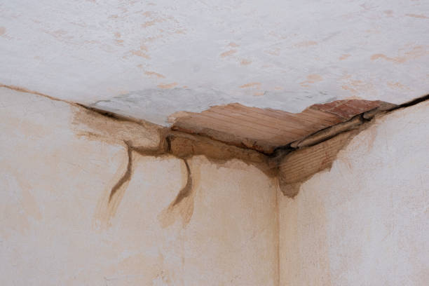 Best Professional water damage repair  in Gap, PA