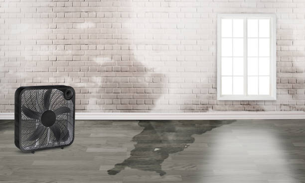 Best Water damage contractors near me  in Gap, PA