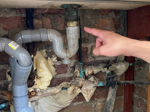 Best Basement water damage restoration  in Gap, PA